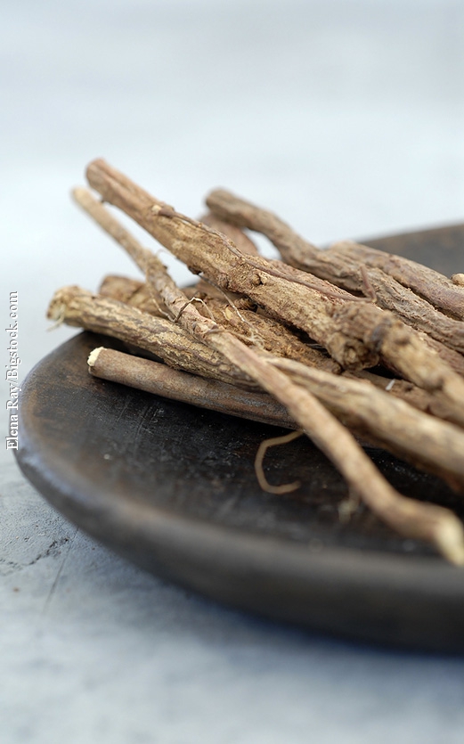 Arzneipflanze des Jahres 2012: