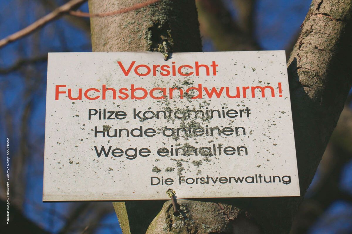 Schild an einem Baum warnt vor mit Fuchsbandwurm kontaminierten Pilzen.
