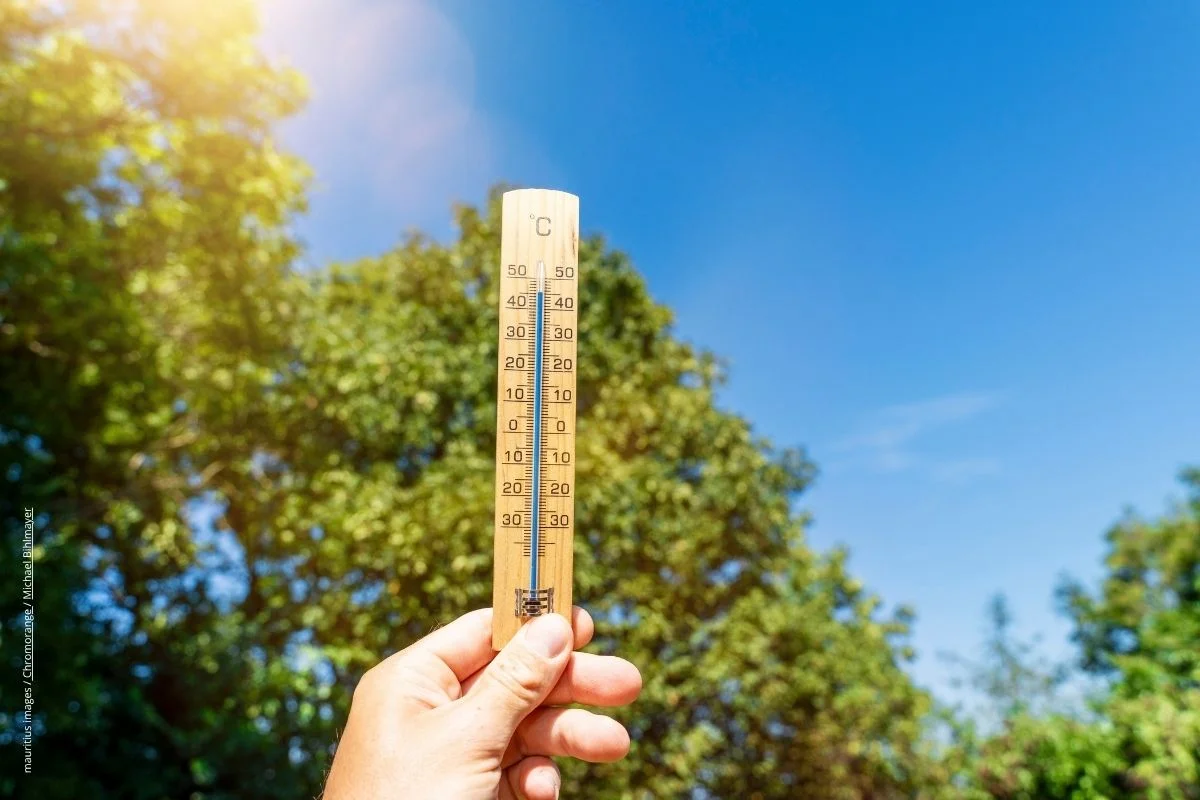 Sommerhitze lässt Herzen flimmern