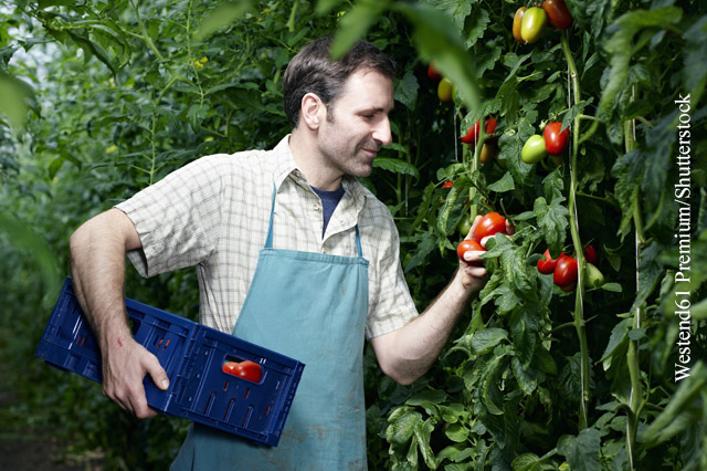 Buchtipp: Der Bio-Bluff