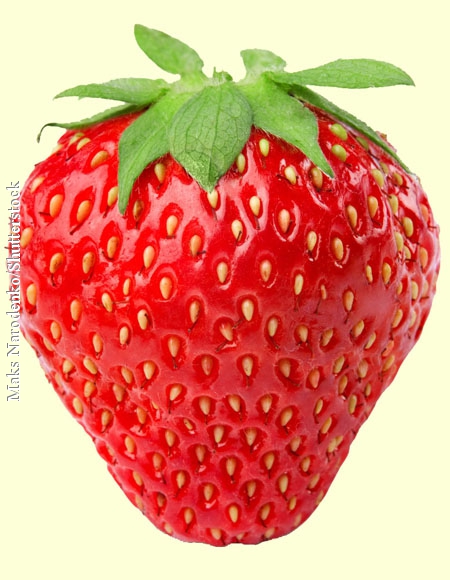 Einfach zum Reinbeißen: