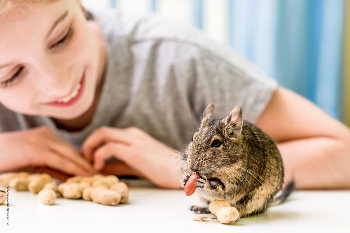 Wächst sich die Erdnussallergie aus?