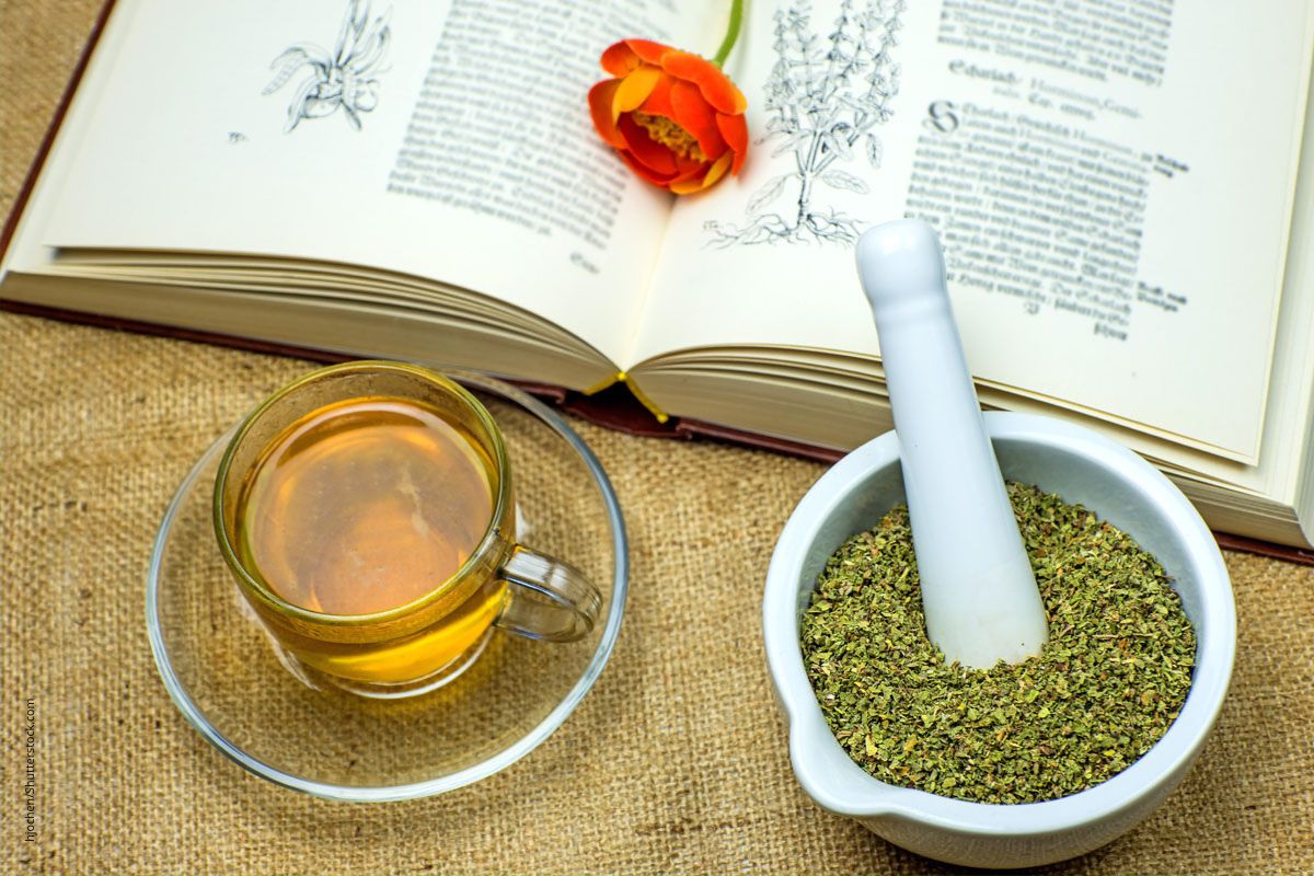 Traditionelle Phytotherapie