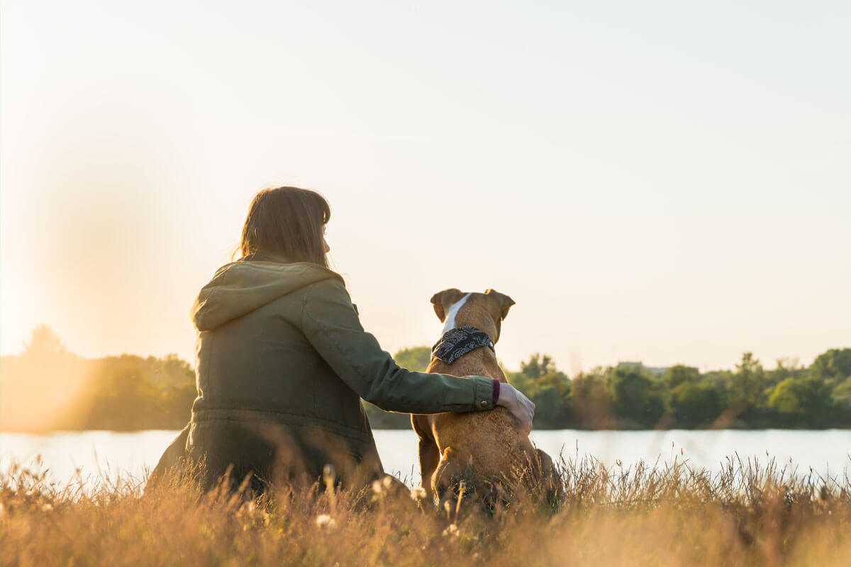 Wie gut schnüffeln Diabeteswarnhunde?