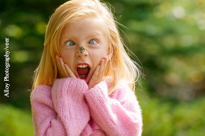 Keine Chance für Insekten 